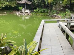 -深圳国际园林花卉博览园