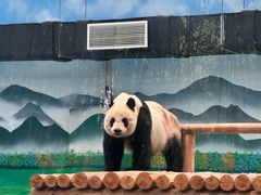 -柳州市动物园