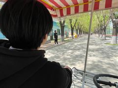 -北戴河集发农业梦想王国