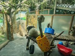 -青藏高原野生动物园
