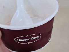 -哈根达斯(石家庄北国店)