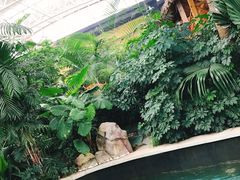 -郑州银基黄帝宫御温泉