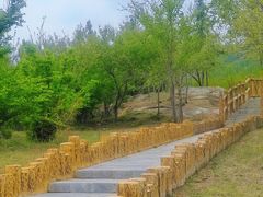 -白水寺森林公园