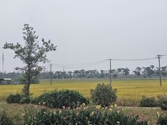 -嘉北郊野公园