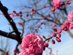 -三里河公园