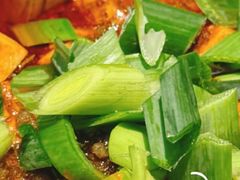 -陈麻婆豆腐(旗舰店)