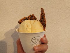 -Ginko银子(青龙街店)