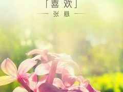 -海底捞火锅(龙岗星河COCO Park店)