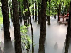 -东湖落雁景区