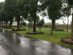 -上海多利农业发展有限公司