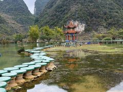 -靖西鹅泉风景区