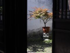 -成都杜甫草堂博物馆