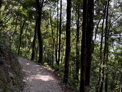 -广州市帽峰山景区