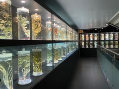 -广东中医药博物馆