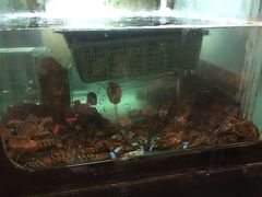 -金海阁海鲜火锅