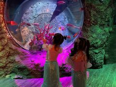 -沈阳海洋探索中心