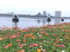 -顺峰山公园