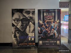 -华谊兄弟影院(IMAX洋桥店)