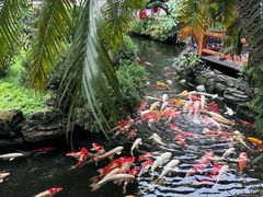 -聚福宝合苑食府(南头镇店)