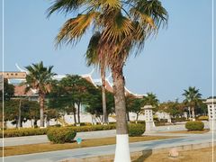 -集美鳌园景区