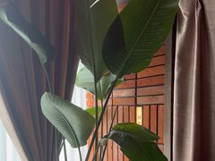 -泰合玺·精油疗愈SPA(狮山天街生活广场店)