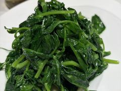 豌豆苗-马旺子酒楼