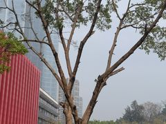 -柳州工业博物馆