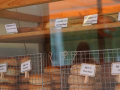 -Catch Bagel(芳草地店)