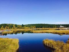 -塞罕坝国家级自然保护区