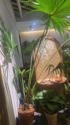 -芳香乐府疗愈空间·SPA·冥想