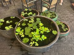 -813芭依珊 BAESAn(皇冠十畝地店)