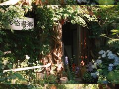 -斯多格书乡(北京大学畅春园店)