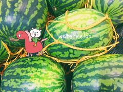 西瓜-AEON永旺(东方宝泰店)