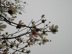 -马家湾湿地公园