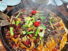 -老板恋上鱼(荣盛广场店)