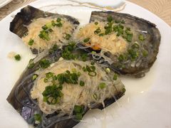 -湛江渔港·大排档(乐园路总店)