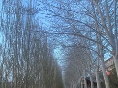 -党河风情线国家水利风景区