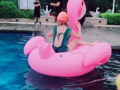 -惠州金海湾嘉华度假酒店