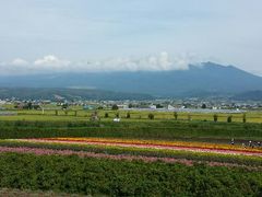 花田-富田农场
