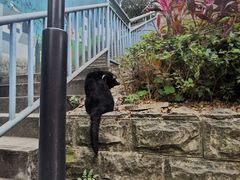 -石井坡(地铁站)