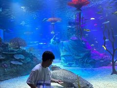 -沈阳海洋探索中心