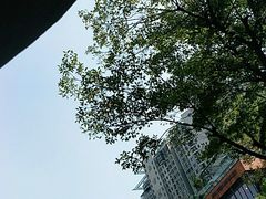 -COSTA COFFEE(武汉天地店)