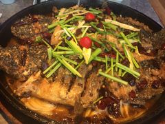 -老板恋上鱼(恒隆广场店)