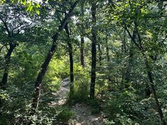 -阳台山自然风景区