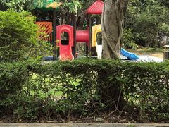 -滴水岩森林公园