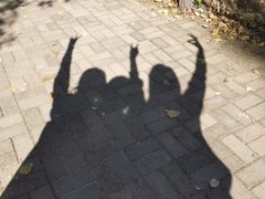 -百里山水画廊