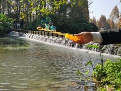 -桤木河湿地公园