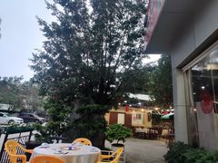 -农家鸡宴私房菜(城东店)