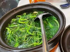 纯水浸时蔬-荟廷·晶萃(陆家嘴尚悦湾店)