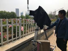 -曹州牡丹园